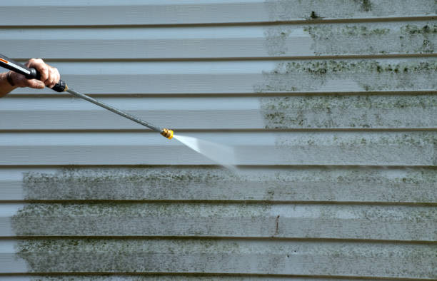 Best Residential Pressure Washing Services  in Arp, TX