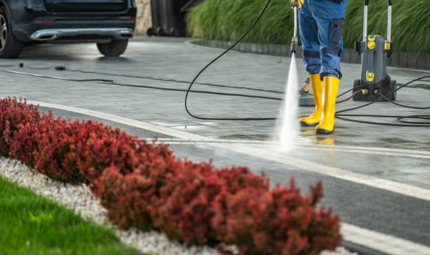 Best Pressure Washing Driveway  in Arp, TX