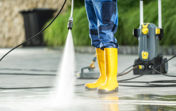 Best House Pressure Washing  in Arp, TX