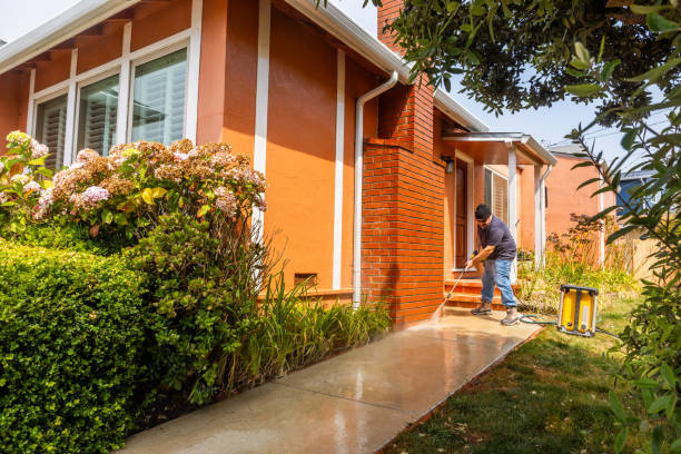Best Power Washing Near Me  in Arp, TX