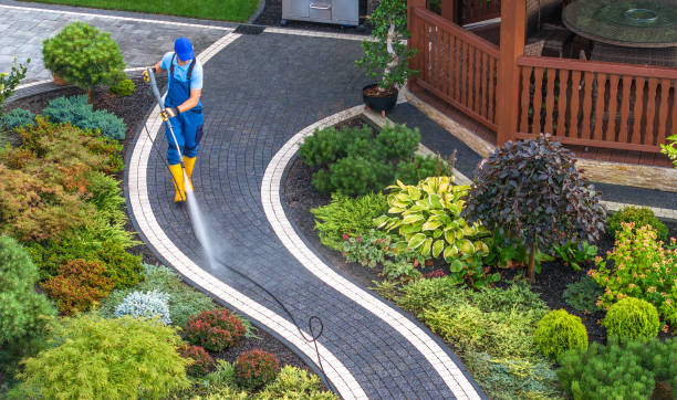Best Exterior Home Cleaning  in Arp, TX